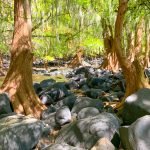 River with Lava Rocks