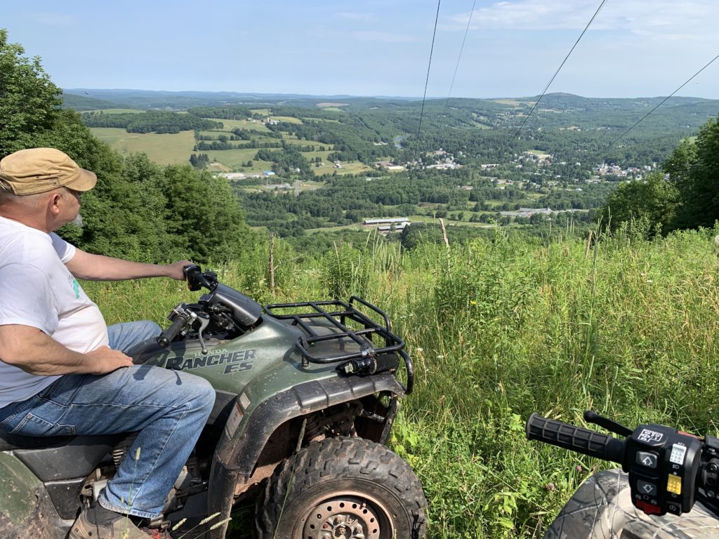 Bird's eye view of Stamford, New York