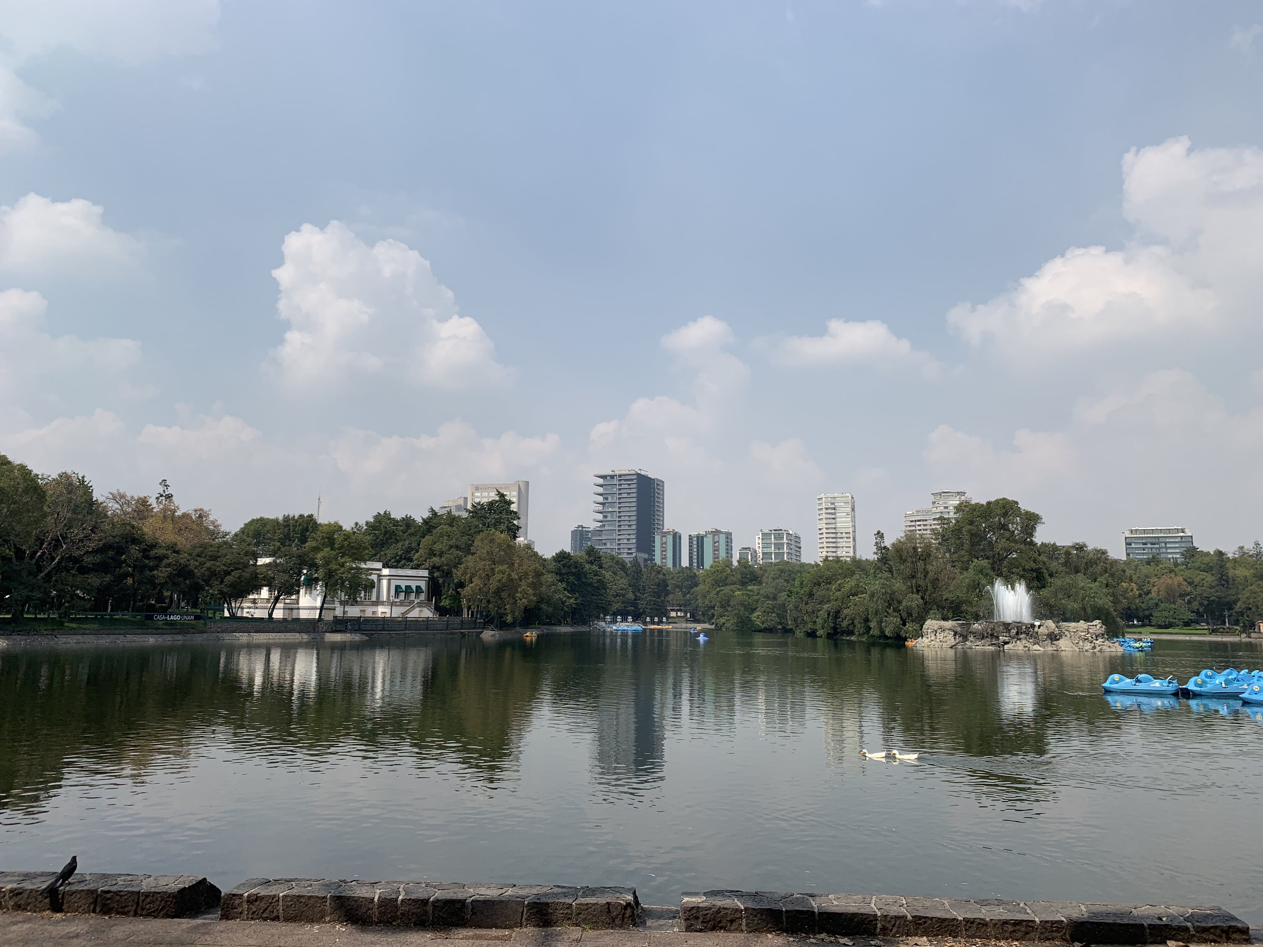 Bosque de Chapultepec